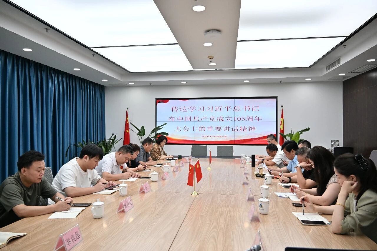 【党建引领聚合力 互通交流促发展】河北省重庆商会近期系列工作动态